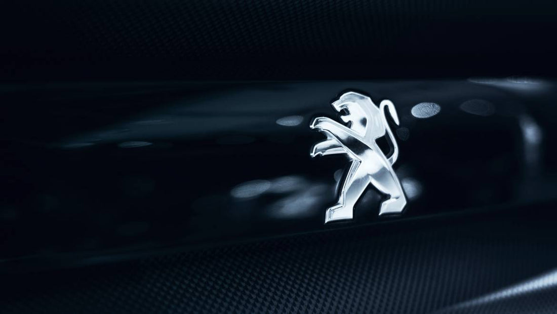 Chaussettes à neige pour Peugeot : comment rouler en toute sécurité cet hiver ?